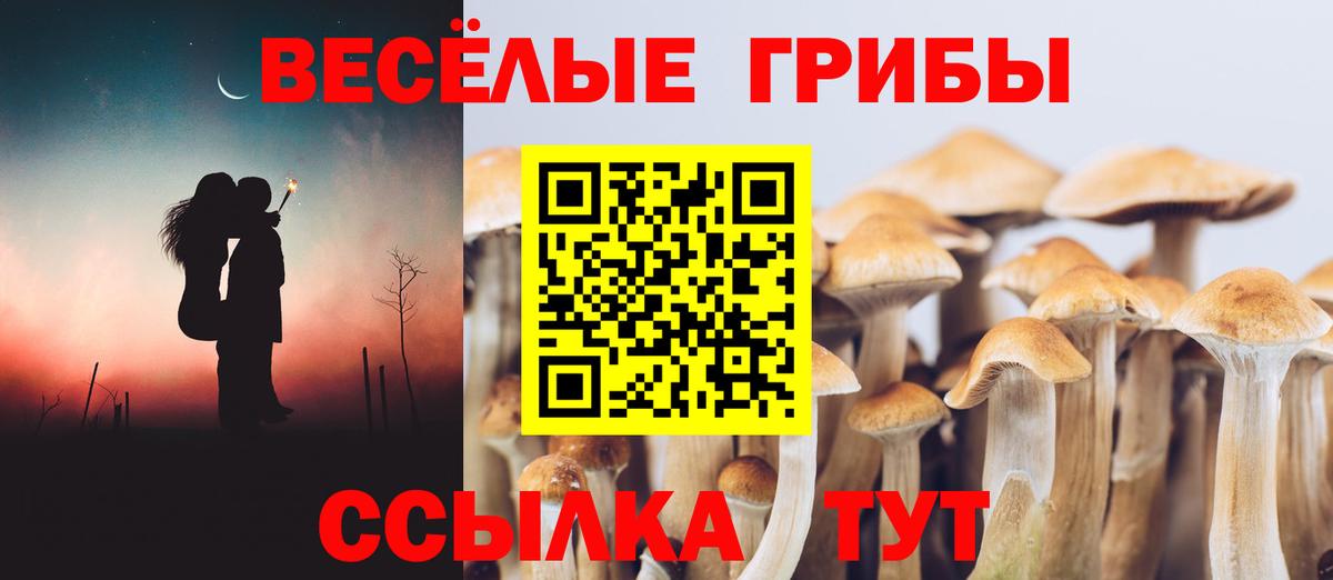 Псилоцибиновые грибы ЛСД  Псилоцибиновые грибы мицелий  Приморско-Ахтарск  Вход с VPN 