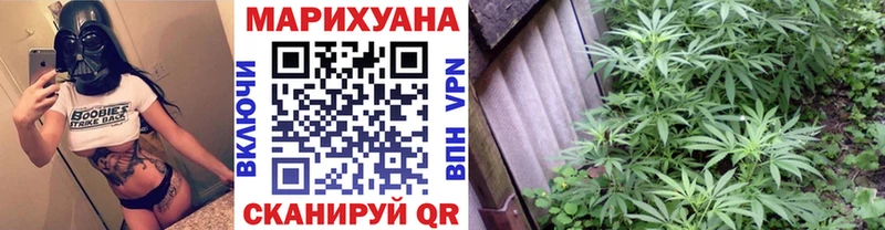Каннабис Bruce Banner  кракен   Приморско-Ахтарск  продажа наркотиков 